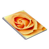 Fermer le Carnet Rose (Côté Droit)