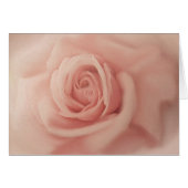 Fermer les cartes Rose Rose (Devant horizontal)