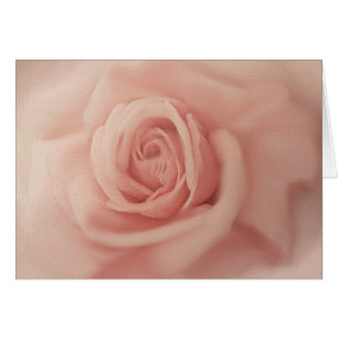 Fermer les cartes Rose Rose