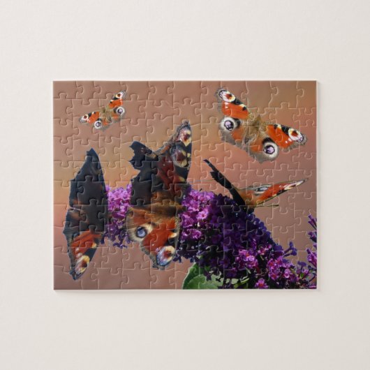 Fermer Puzzle : Papillons Peacock (Horizontal)