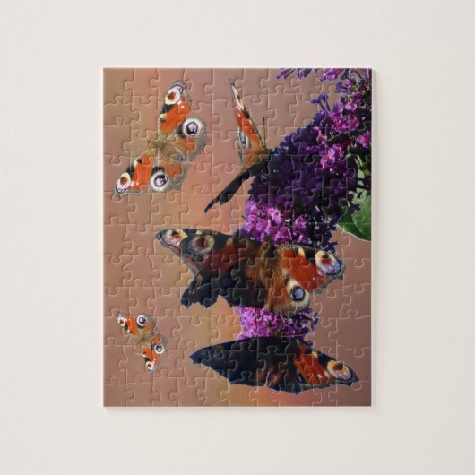 Fermer Puzzle : Papillons Peacock (Vertical)