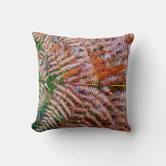 Fermes de boisLancer le coussin (Recto)