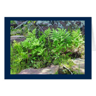 Fermes sur une formation de roche dans la carte bl