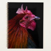 Fermes | Tête de coq (Devant)