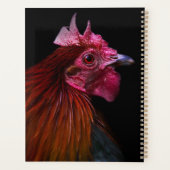 Fermes | Tête de coq (Dos)