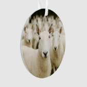 Fermes | Troupeau de moutons (devant)