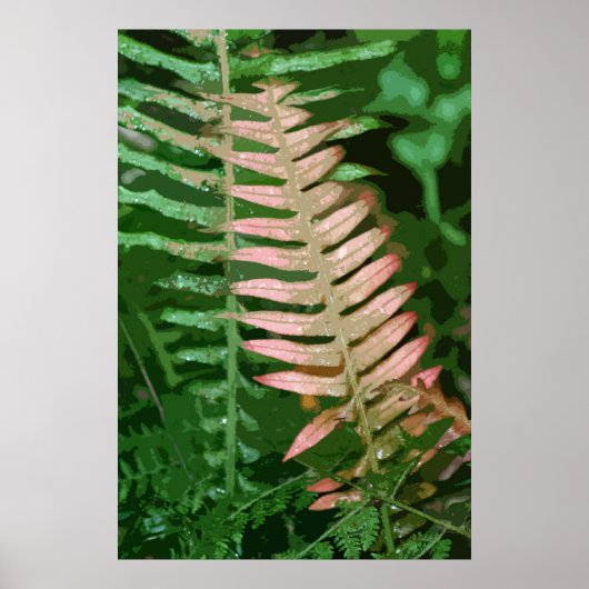 FERN 1 POSTER (Voorkant)