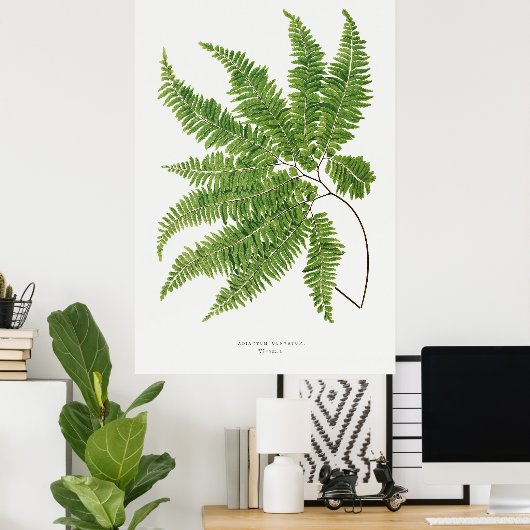 Fern 2 poster (Thuiskantoor)