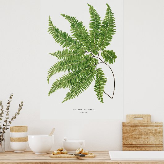 Fern 2 poster (Keuken)