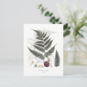 Fern Briefkaart (Staand voorkant)