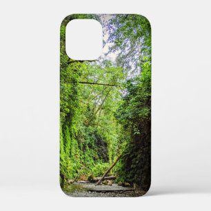 Fern Canyon Green Walls in Redwood National Park iPhone 12 Mini Hoesje