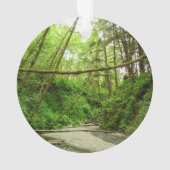 Fern Canyon I au Redwood National Park (dos)