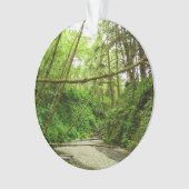 Fern Canyon I au Redwood National Park (devant)