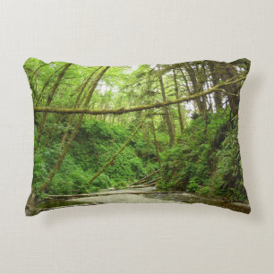 Fern Canyon I in Redwood National Park Accent Kussen