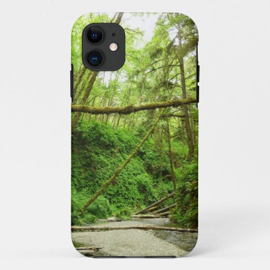 Fern Canyon I in Redwood National Park Case-Mate iPhone Case (Achterkant)