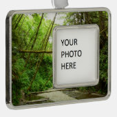 Fern Canyon I in Redwood National Park Verzilverd Kader Ornament (Rechts)