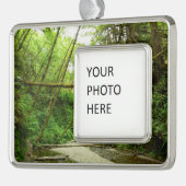 Fern Canyon I in Redwood National Park Verzilverd Kader Ornament (Links)