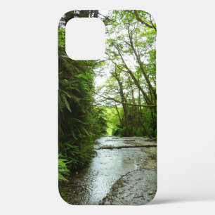 Fern Canyon II in Redwood National Park iPhone 12 Hoesje
