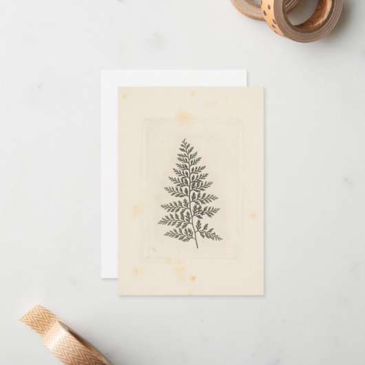 Fern Correspondence Woodland Forest Natuur Notitiekaartje (Voorkant / Achterkant in situ)