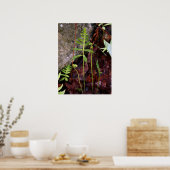 Fern door StoneWall Poster (Keuken)