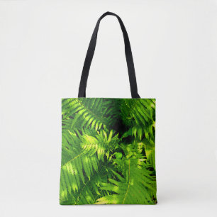Fern Draagtas
