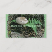 Fern et champignons à Stump Carte de visite (Dos)