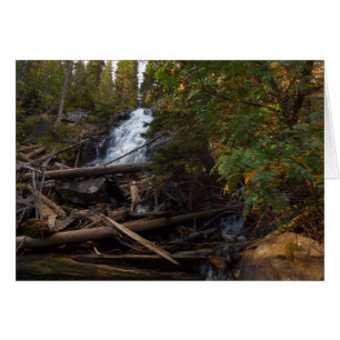 Fern Falls in Rocky Mountain National Park