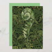 Fern Feestdagenkaart (Voorkant / Achterkant)