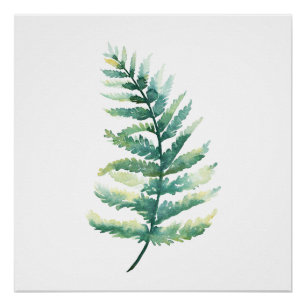 Fern Frond Botanische Waterverf Poster Perfect Poster