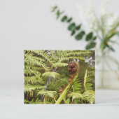 Fern Frond, New Zealand Briefkaart (Staand voorkant)