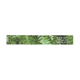 Fern Fronds I Green Natuur