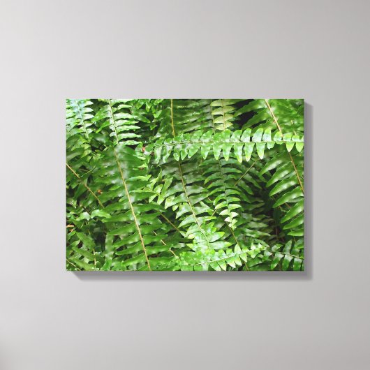 Fern Fronds I Green Natuur Canvas Afdruk (Voorkant)