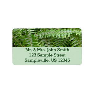 Fern Fronds I Green Natuur Etiket