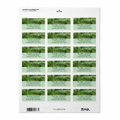 Fern Fronds I Green Natuur Etiket (Full Sheet)