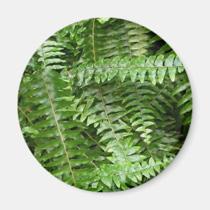 Fern Fronds I Green Natuur Magneet