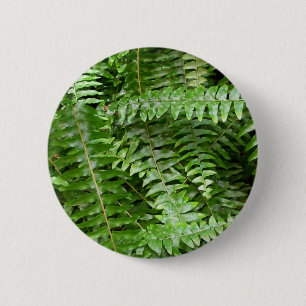 Fern Fronds I Green Natuur Ronde Button 5,7 Cm