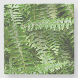 Fern Fronds I Green Natuur Stenen Onderzetter