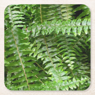 Fern Fronds I Green Natuur Vierkante Kartonnen Onderzetter