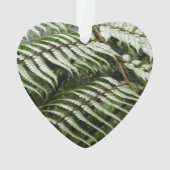 Fern Fronds II Dark Green Nature (dos)