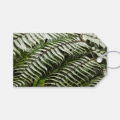 Fern Fronds II Donkere groene Natuur Cadeaulabel (Voorkant (Horizontaal))