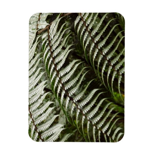 Fern Fronds II Donkere groene Natuur Magneet (Verticaal)