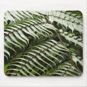 Fern Fronds II Donkere groene Natuur Muismat