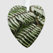 Fern Fronds II Donkere groene Natuur Ornament (voorkant)