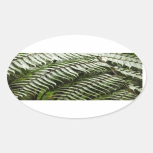 Fern Fronds II Donkere groene Natuur Ovale Sticker