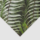 Fern Fronds II Donkere groene Natuur Tissuepapier (Detail)