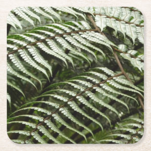 Fern Fronds II Donkere groene Natuur Vierkante Kartonnen Onderzetter