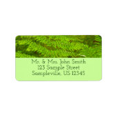 Fern Fronds III Green Natuur Botanical Etiket (Voorkant)