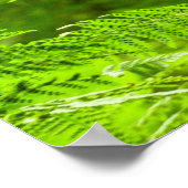 Fern Fronds III Green Natuur Botanical Poster (Hoek)