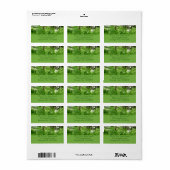 Fern Fronds IV Groene Natuur Botanisch Etiket (Full Sheet)