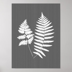 Fern Fronds, White on Charcoal Grey / Grey Poster